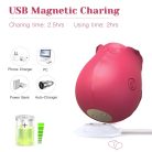 Tracy's Dog Rose - vízálló léghullámos csiklóizgató (pink) - Vibrátorok