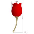 Pretty Rose Lover
