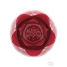 Pretty Love Secret Garden RED