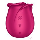 Pro 2 Classic Blossom - 6