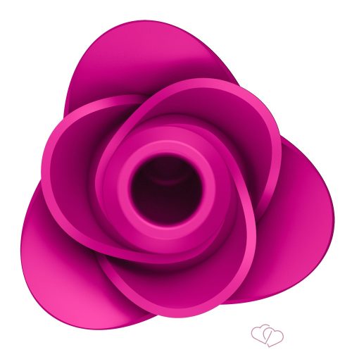 Pro 2 Modern Blossom - 4